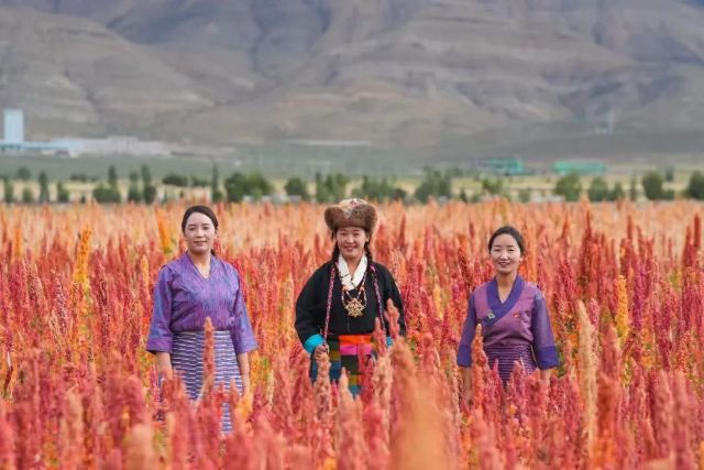 1012_134636_790.jpg 微信图片_20241012105806.jpg