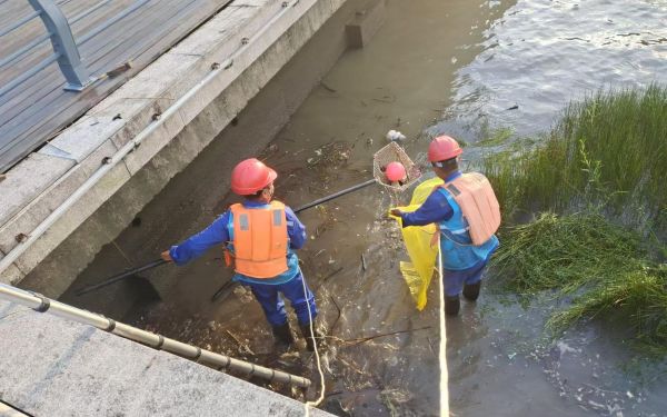 236 (4).jpg 236 (4).jpg