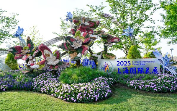 DSC03990.jpg DSC03990.jpg