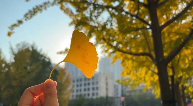 1204_104727_709.jpg 4.jpg