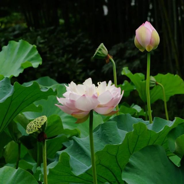 0722_121341_548.jpg 640 (7).jpg