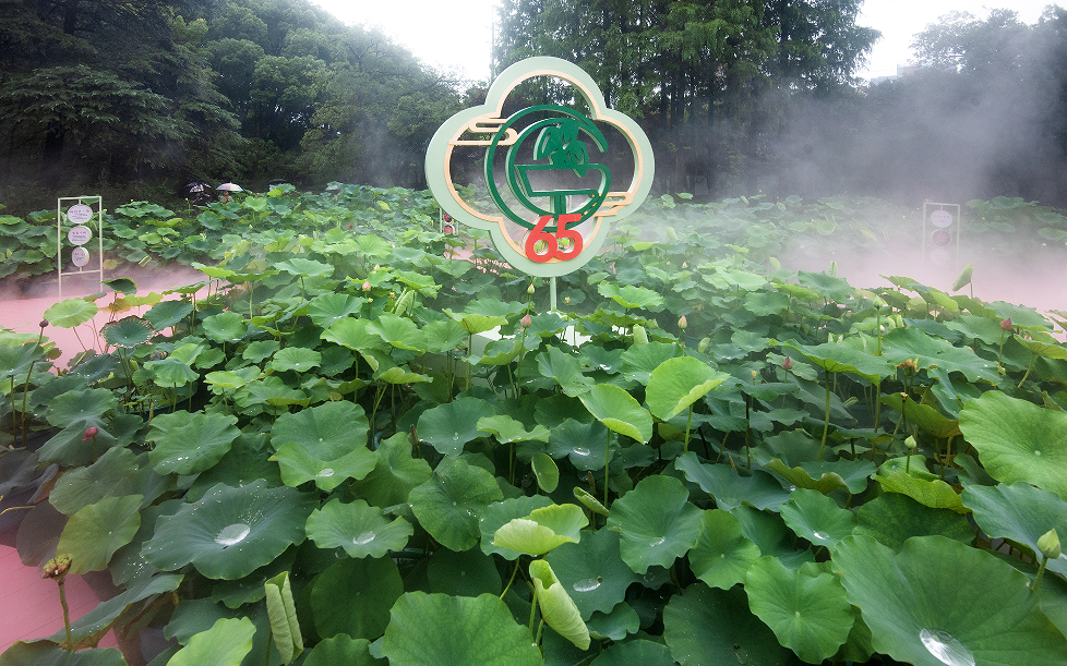 微信图片_20240703134620.png 微信图片_20240703134620.png