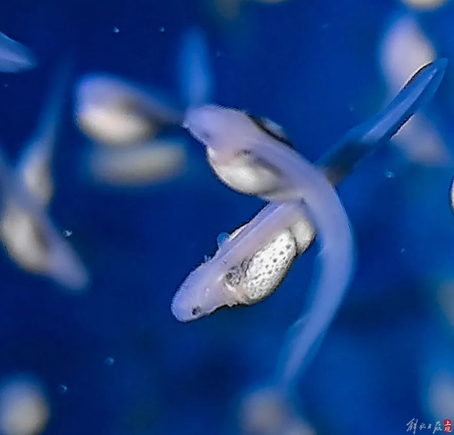 屏幕捕获_2024_10_10_09_25_03_702.png 屏幕捕获_2024_10_10_09_25_03_702.png