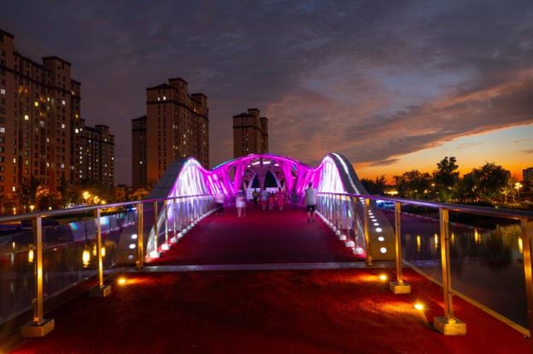 冬日“沪”水游，青浦新城：冬境绮梦，水韵流长