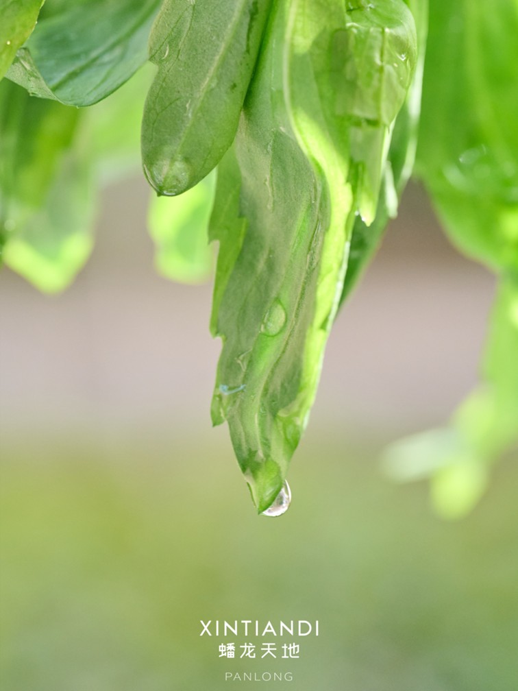 318青浦旅游日丨春日限定！青浦几大商场各出奇招，邀你和春光碰头！