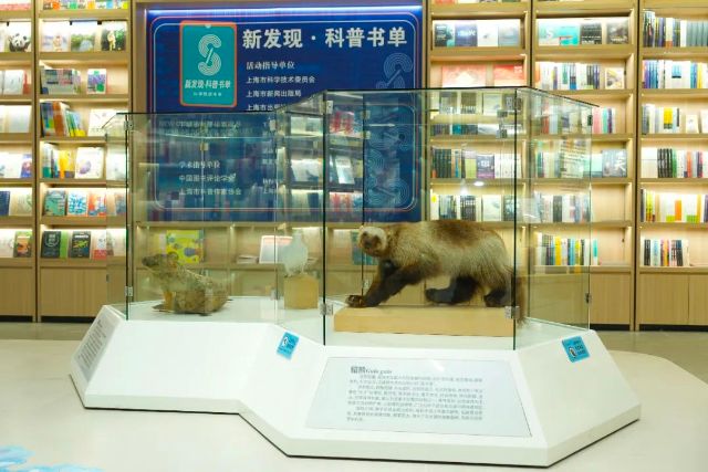 0920_143642_940.jpg 9.jpg