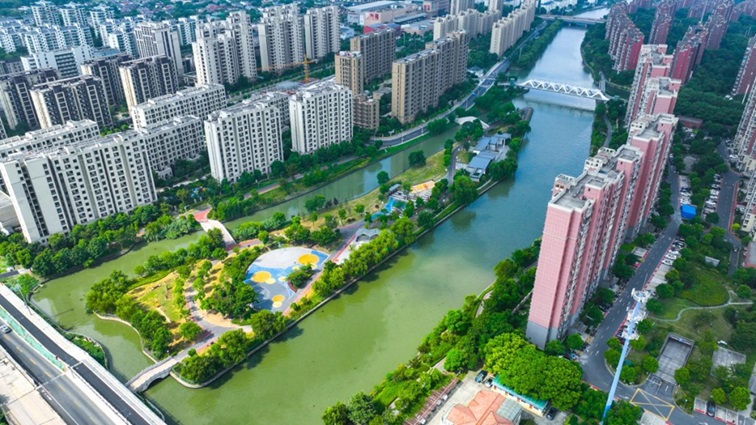 冬日“沪”水游，青浦新城：冬境绮梦，水韵流长