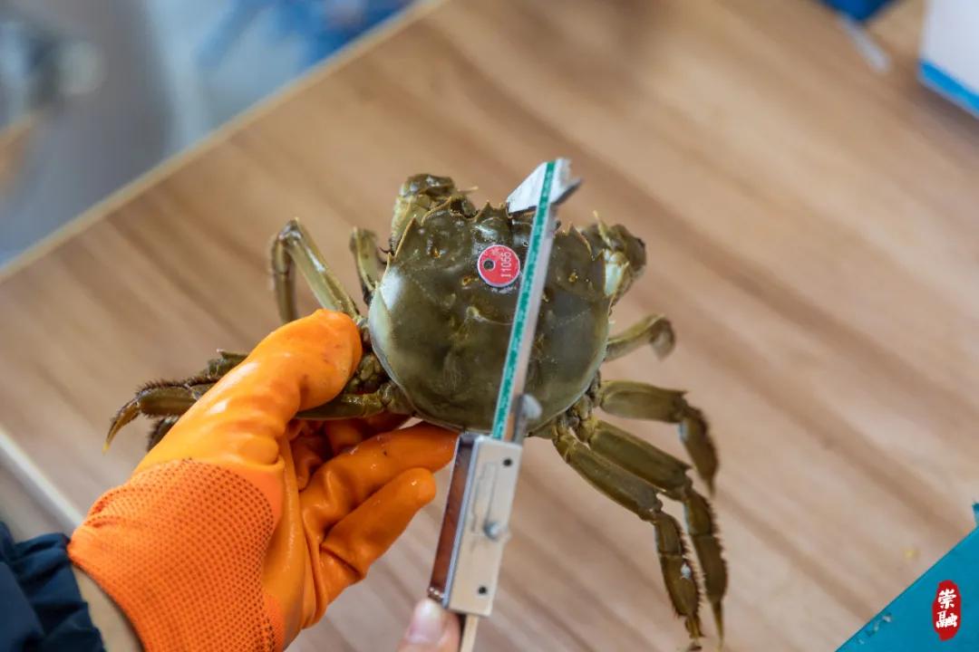 20241008152342079569.jpg 20241008152342079569.jpg