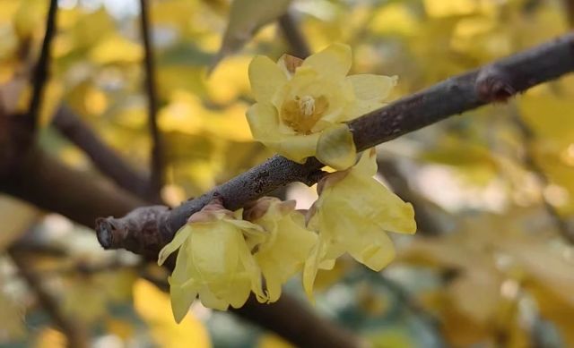 0120_141405_437.jpg 微信图片_2025-01-20_141246_411.png