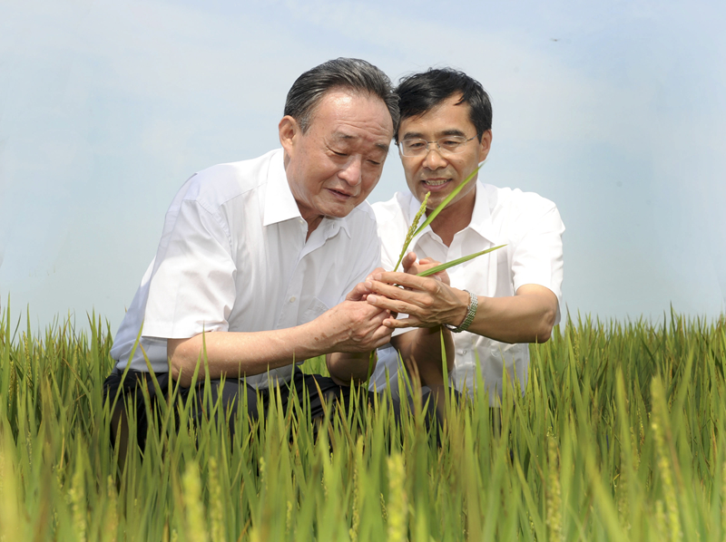 2012年7月19日,吴邦国同志在黑龙江农垦建三江管理局二道河农场万亩大地号察看水稻长势。新华社记者 谢环驰 摄.jpg 2012年7月19日,吴邦国同志在黑龙江农垦建三江管理局二道河农场万亩大地号察看水稻长势。新华社记者 谢环驰 摄.jpg