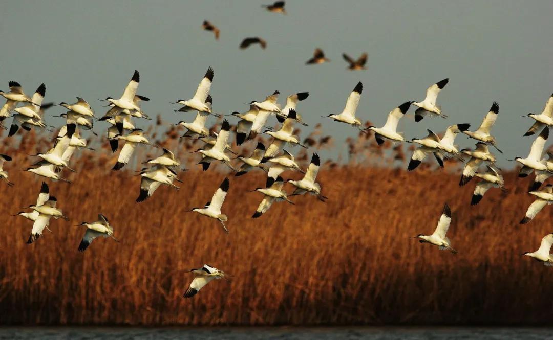 20241011134435034478.jpg 20241011134435034478.jpg