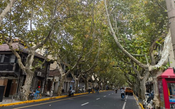 徐汇1.jpg 徐汇1.jpg