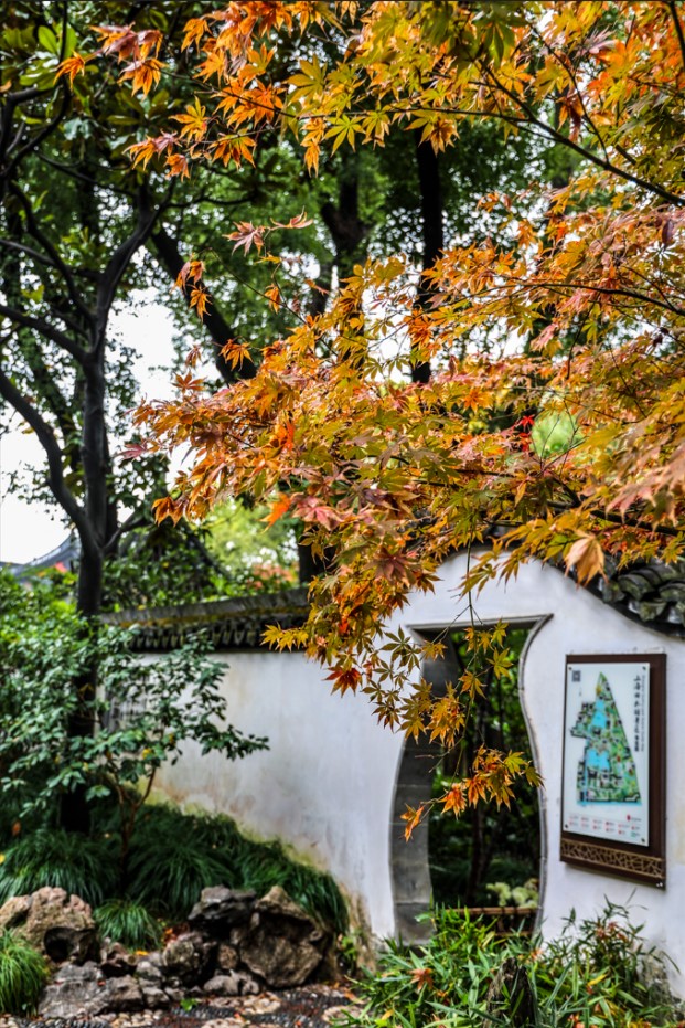 会·聚青浦|来青浦捕捉秋色,观看一场五彩缤纷的秋天童话剧! 会·聚青浦|来青浦捕捉秋色,观看一场五彩缤纷的秋天童话剧!
