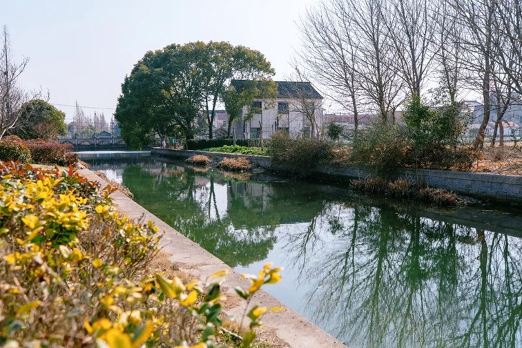 江南春景水一半，12处小流域绘青浦生态美域