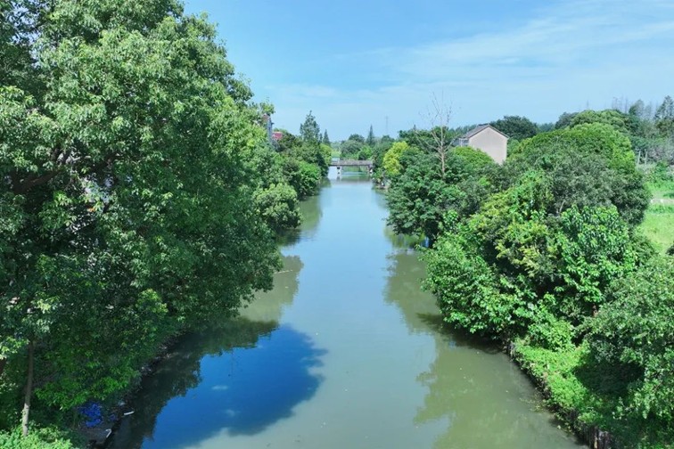 江南春景水一半，12处小流域绘青浦生态美域