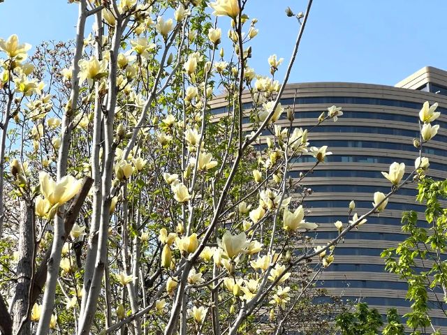 0812_141647_438.jpg 640 (26).jpg