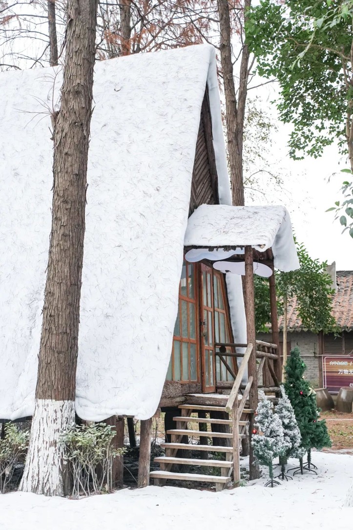 过大年·来青浦丨“蛇”我其谁~青浦近50场新春活动等你“过·来”玩！