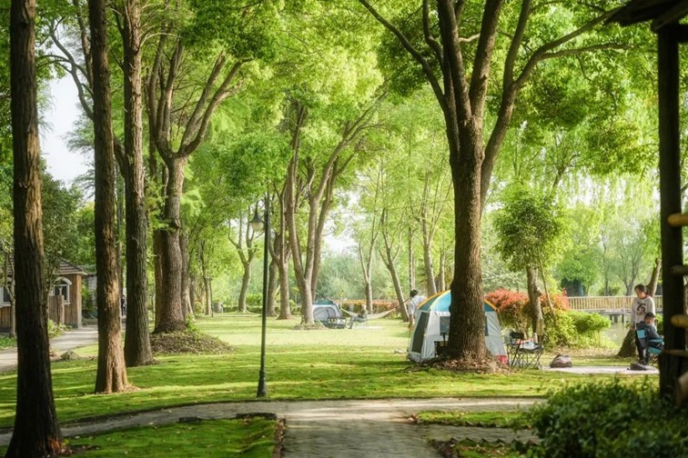 跟着半马游青浦|玩法多样,老少兼顾!让你的每一步都充满惊喜! 跟着半马游青浦|玩法多样,老少兼顾!让你的每一步都充满惊喜!