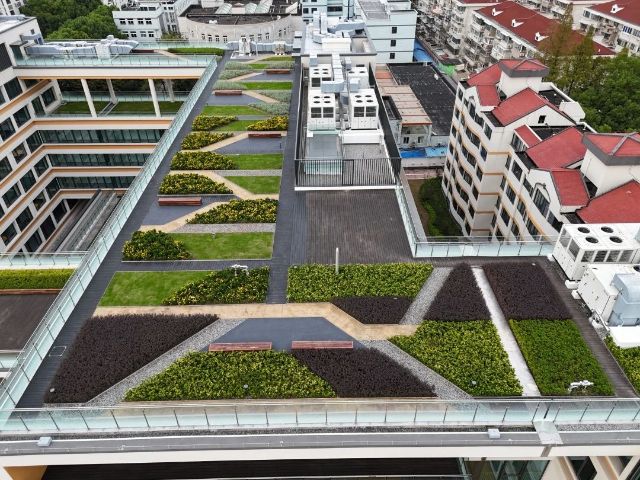 1119_122557_753.jpg 微信图片_20241119122612.jpg