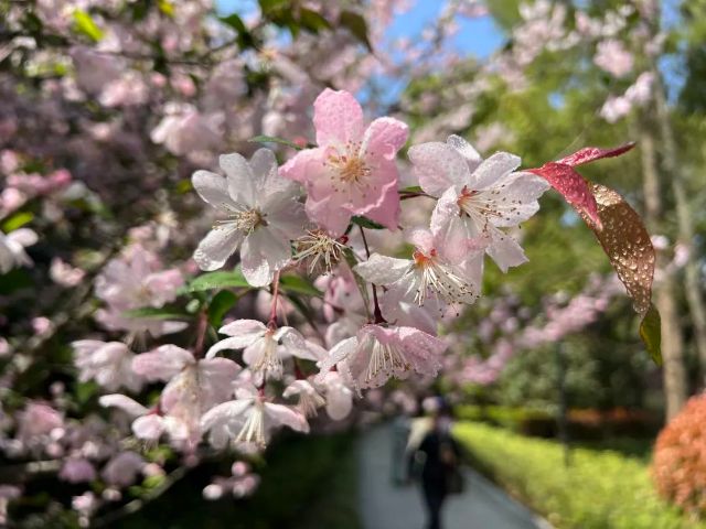 0307_144717_467.jpg 微信图片_2025-03-07_103702_235.jpg