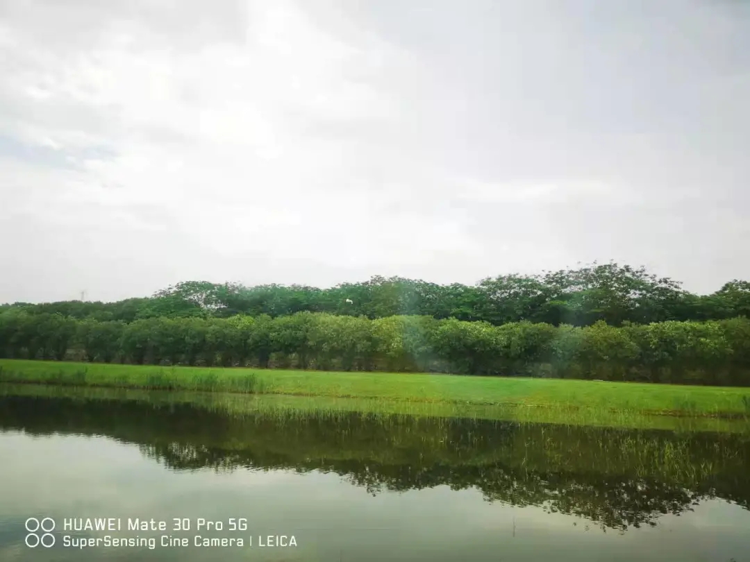 640.webp (3).jpg 640.webp (3).jpg