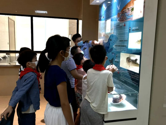 图片8.png 图片8.png