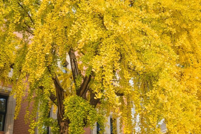 1216_150305_397.jpg 微信图片_2024-12-16_135331_361.png