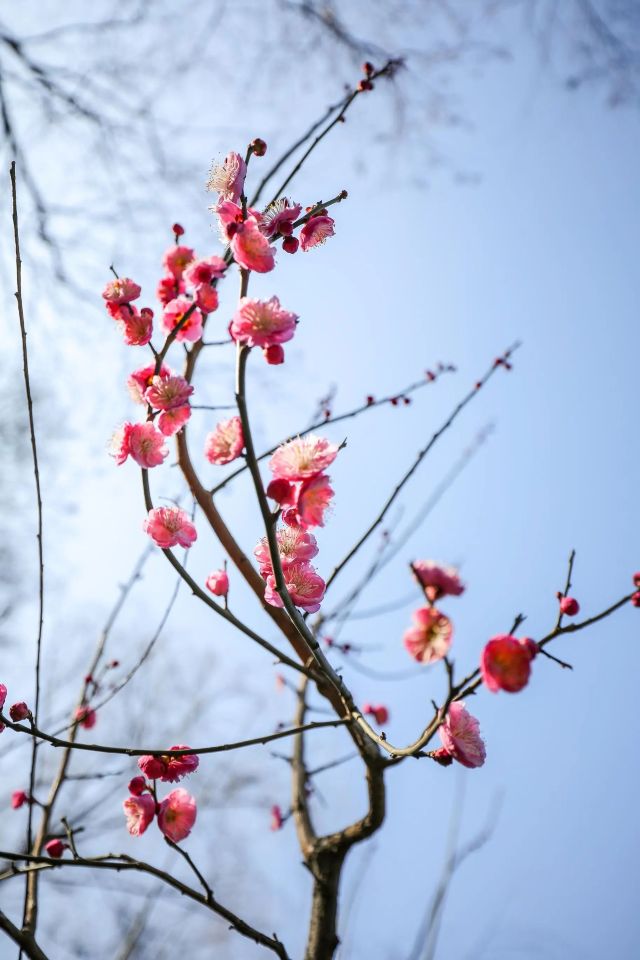 0227_102835_672.jpg 微信图片_2025-02-27_102910_495.jpg