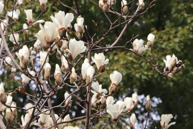 0307_144545_106.jpg 微信图片_2025-03-07_103644_984.jpg