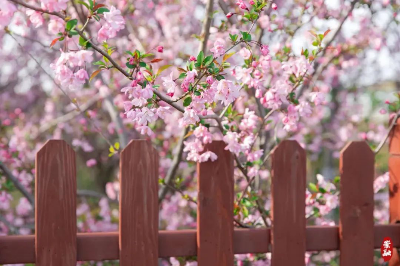 走383.png 走383.png