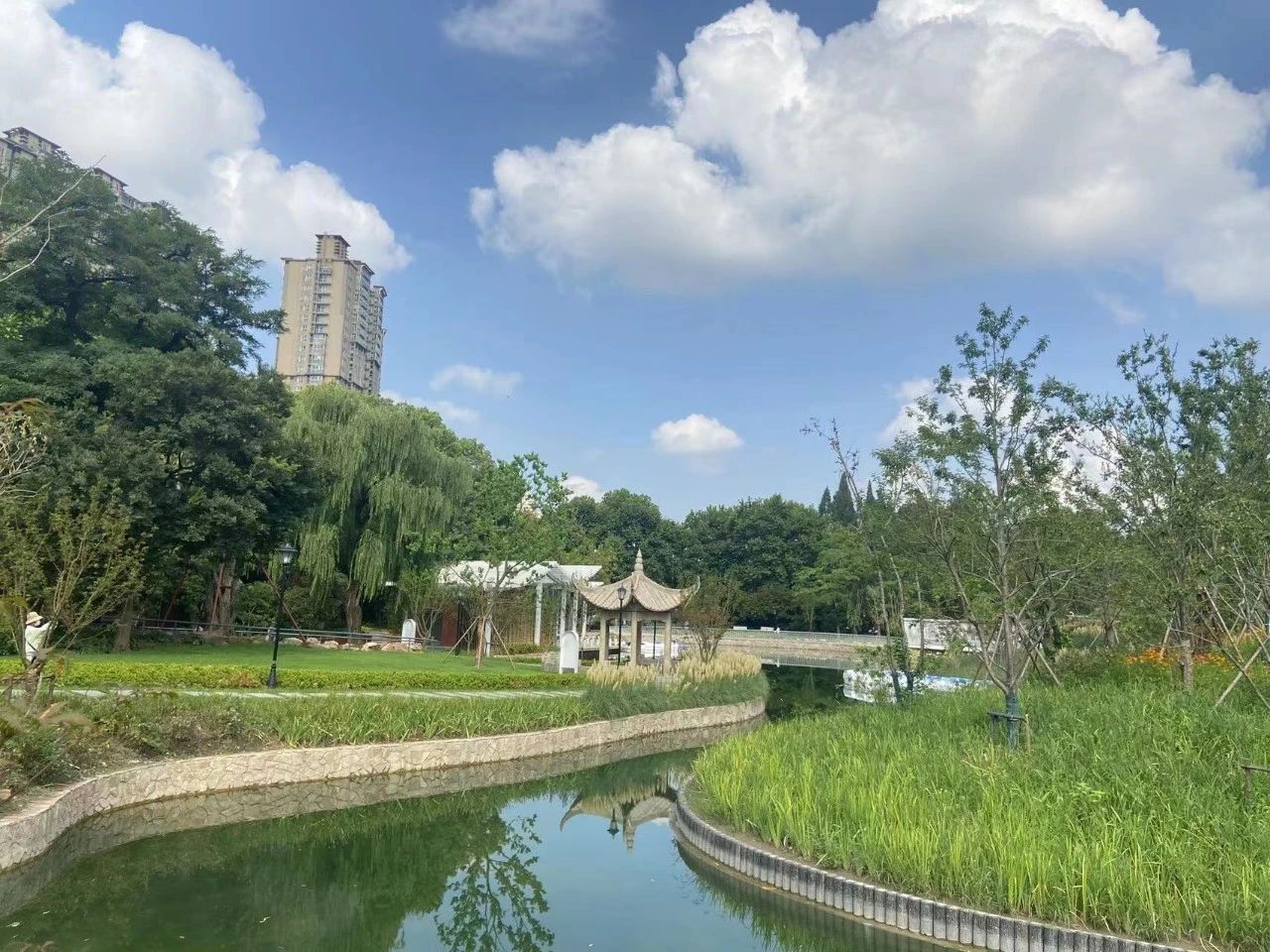 即将开放的长宁市民园艺中心迎来首批客人“探营”1.jpg 即将开放的长宁市民园艺中心迎来首批客人“探营”1.jpg