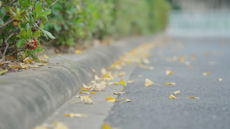 图片 22.png 图片 22.png