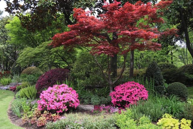 0307_144732_229.jpg 微信图片_2025-03-07_103706_849.jpg