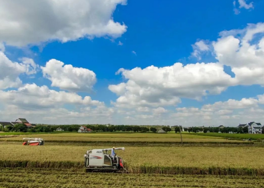 0926_102522_599.png 0926_102522_599.png