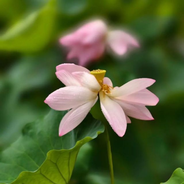 0722_121337_430.jpg 640 (6).jpg