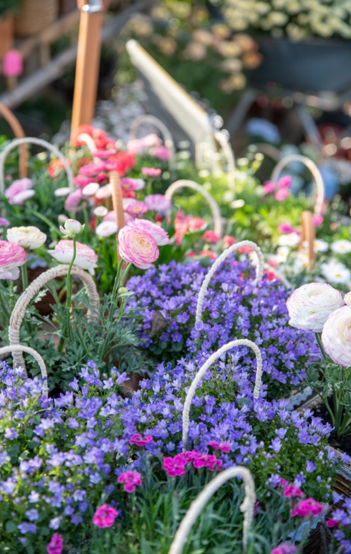 318青浦旅游日丨春日限定！青浦几大商场各出奇招，邀你和春光碰头！