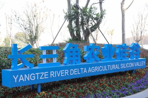 20240719103309055205.jpg 汇聚农业科创新动能,谱写产业发展新篇章!“加快发展农业新质生产力,高标准推进崇明世界级生态岛建设”大会举行4.jpg