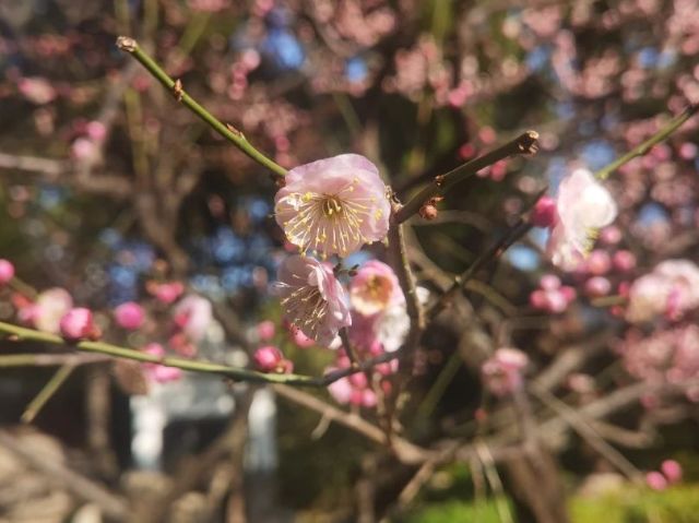 0227_102858_704.jpg 微信图片_2025-02-27_102914_185.jpg