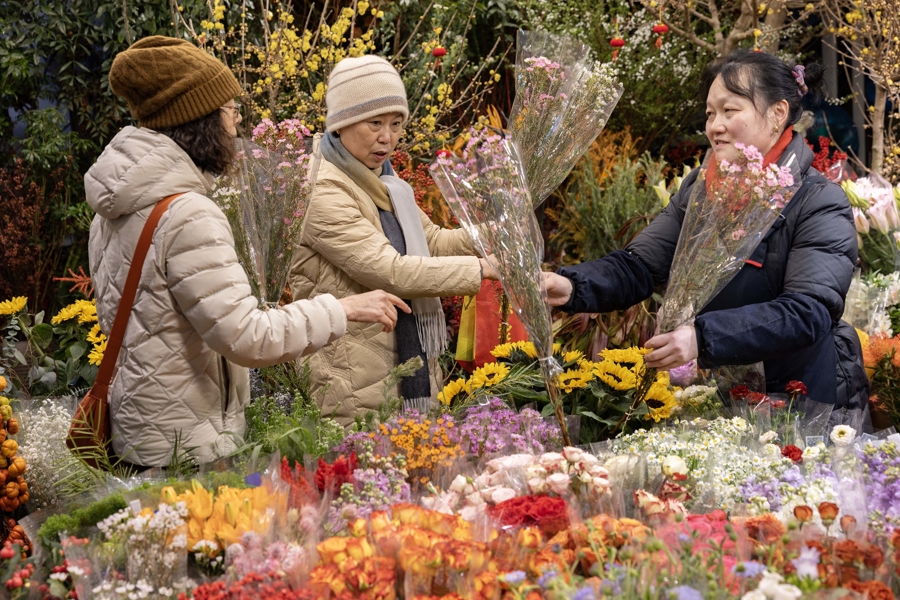临近春节，市民选购鲜花。记者 赖鑫琳 摄.jpg