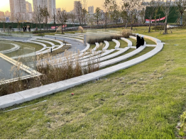 20220819172222077877.png image.png