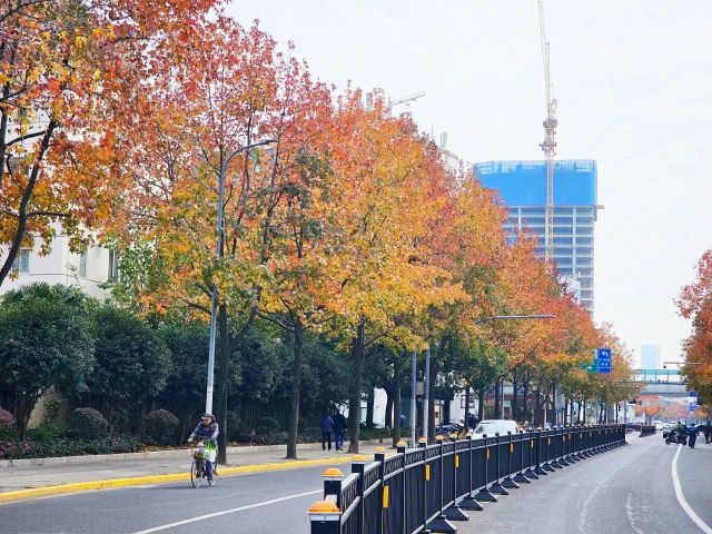 1216_130547_455.jpg 微信图片_2024-12-16_130517_249.png