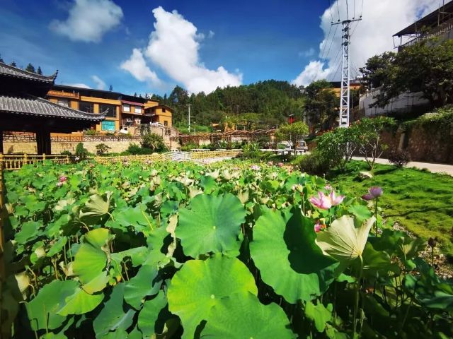 1008_145325_418.jpg 微信图片_20241008134545.jpg