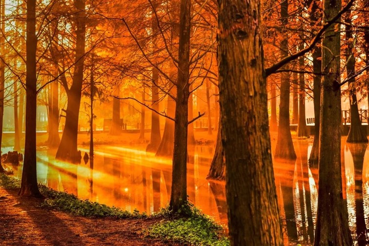 跟着半马游青浦｜收藏！带你玩转线路周边吃喝玩乐全攻略！