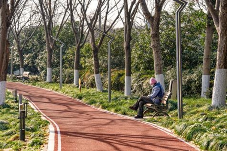 青浦河长:城中美湖,静谧安然 青浦河长:城中美湖,静谧安然