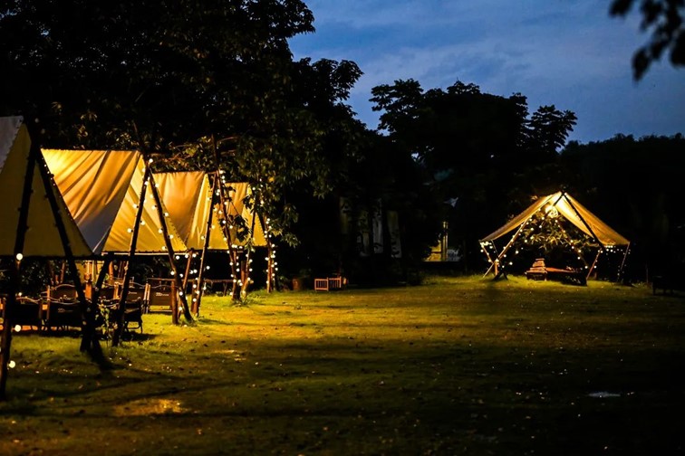 会·聚青浦|这条既City又Country的旅“行”,才是当代人的最爱! 会·聚青浦|这条既City又Country的旅“行”,才是当代人的最爱!