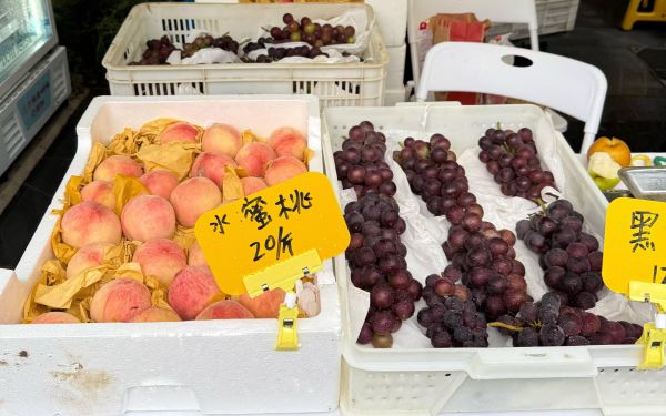 “阿拉果实熟了”——2025年夏季果品进公园首个周末现场推介火热3.jpg “阿拉果实熟了”——2025年夏季果品进公园首个周末现场推介火热3.jpg