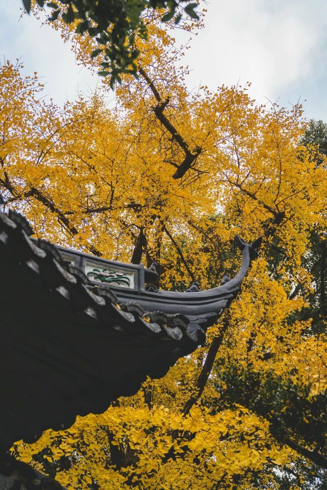 1216_150131_346.jpg 微信图片_2024-12-16_135306_952.png