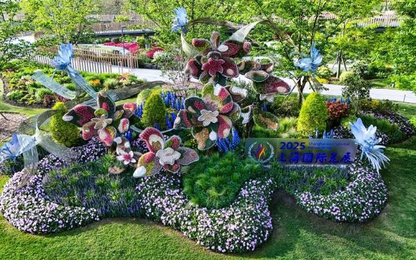 上海植物园主题景点.jpg 上海植物园主题景点.jpg