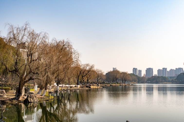 青浦河长:城中美湖,静谧安然 青浦河长:城中美湖,静谧安然