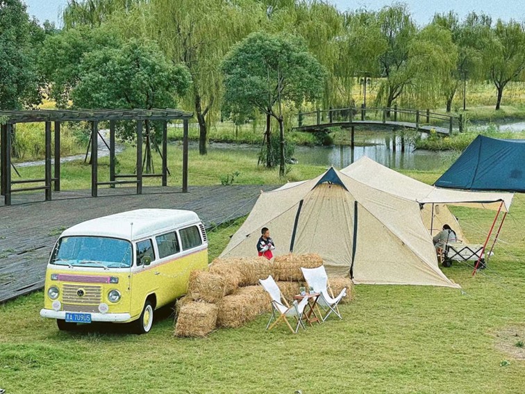 香满秋·一起游丨去青浦来场CountryWalk，遇见金秋盛景！